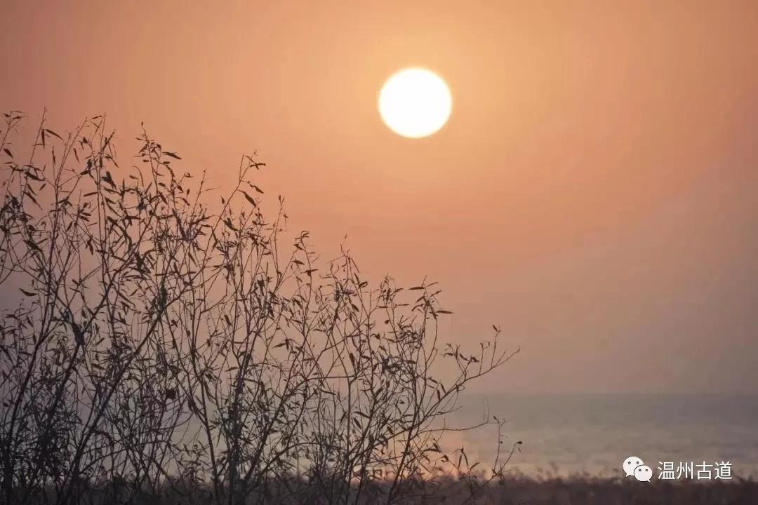 最新瘟疫詩詞，時代之聲與人文關(guān)懷的交融展現(xiàn)