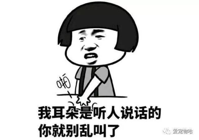 最新枕邊笑話，科技小寶貝，生活添樂趣