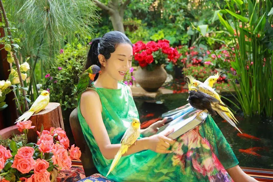 昆明最新舞蹈，文化現(xiàn)象的深度探討