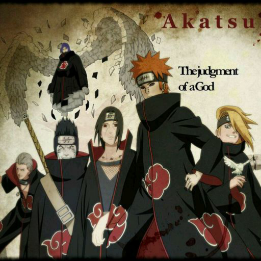 曉組織最新動(dòng)態(tài)揭秘，探究其發(fā)展與影響