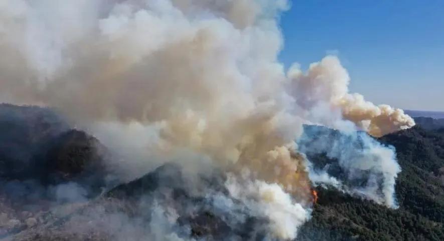 榆社山火防控指南，從初學者到進階用戶的全步驟學習與防火任務實踐