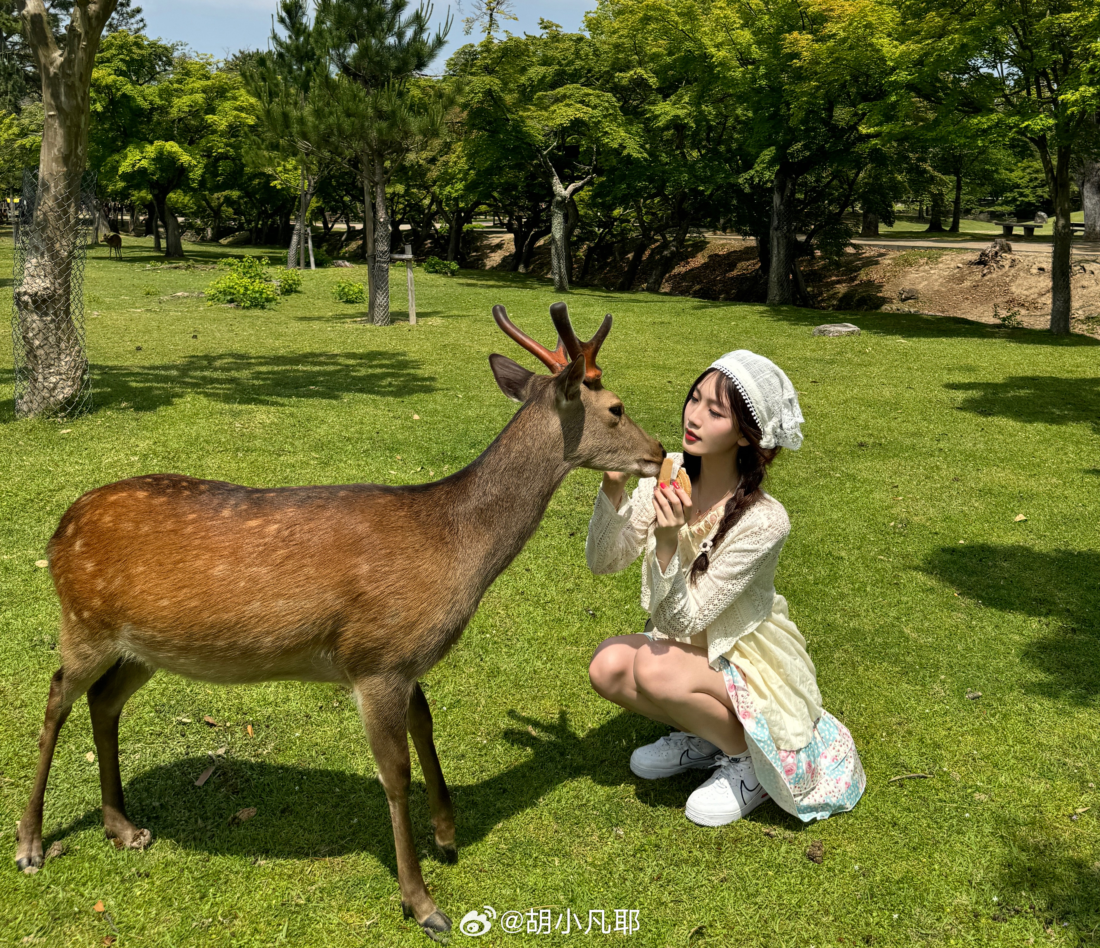 小鹿鹿最新，自然美景的探索之旅