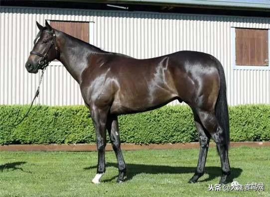 卡拉卡最新指南，任務(wù)完成與技能學(xué)習(xí)步驟攻略