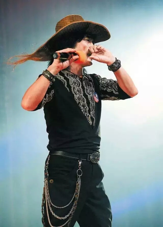 指哨最新，自然美景之旅，探尋內(nèi)心平靜與喜悅的旅程