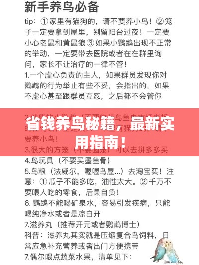 最新養(yǎng)鳥法規(guī)解析，觀點(diǎn)闡述與深度探討