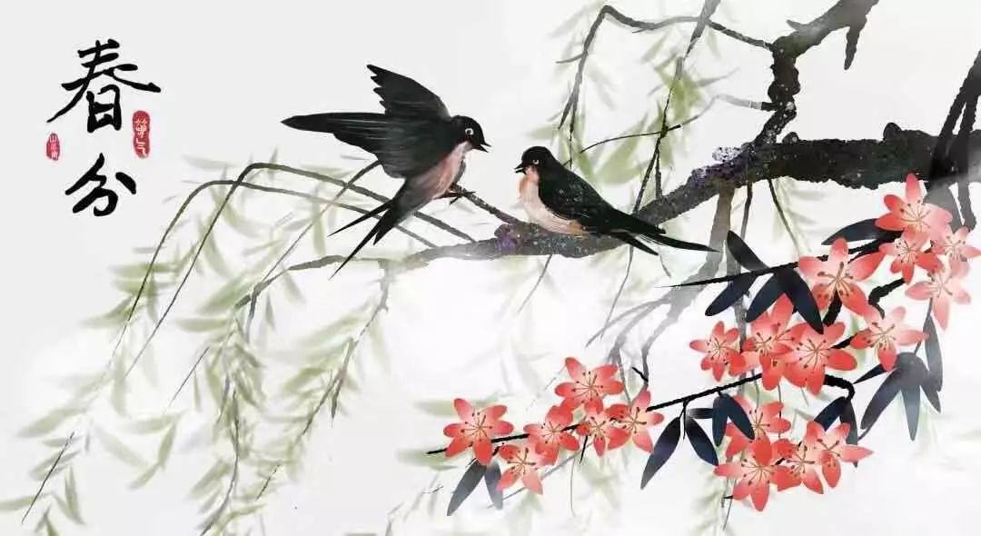 春分最新圖片，展現(xiàn)自然之美的瞬間