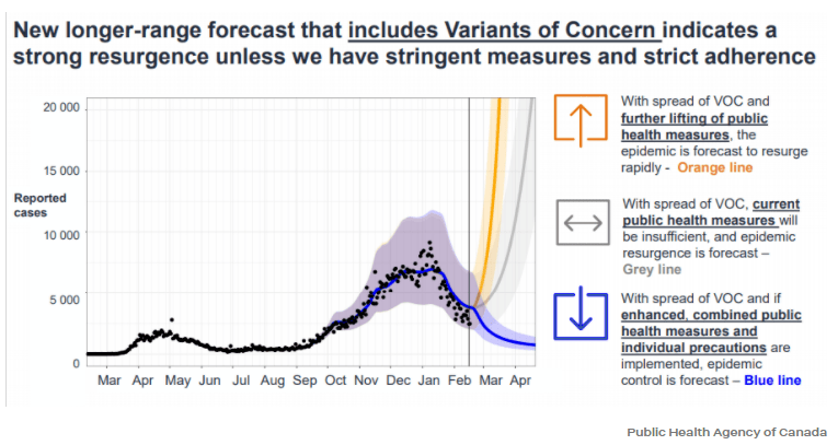 約克最新疫情動(dòng)態(tài)，學(xué)習(xí)變化中的自信與成就力量