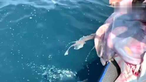 最新魚人流技術(shù)革命，高科技產(chǎn)品重塑未來生活體驗