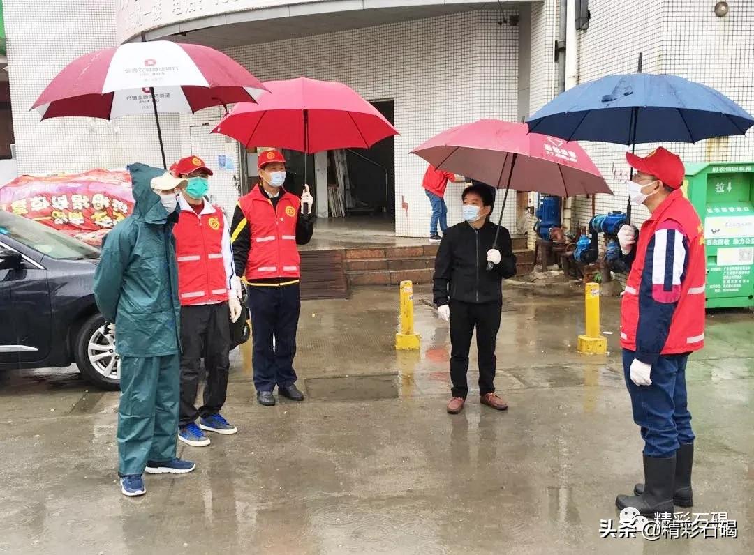 石碣最新疫情動態(tài)，變化中的學習，鑄就未來力量