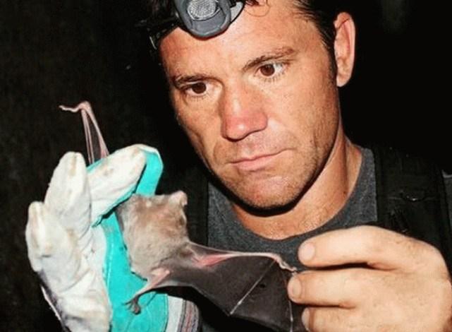 蝙蝠最新電影，自信與成長(zhǎng)的翅膀，勵(lì)志翱翔天空之旅