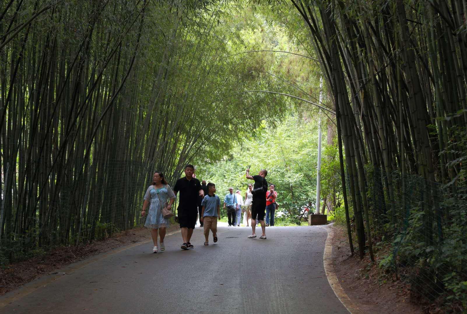 全家最新優(yōu)惠攻略，一步步教你享受最大優(yōu)惠折扣！