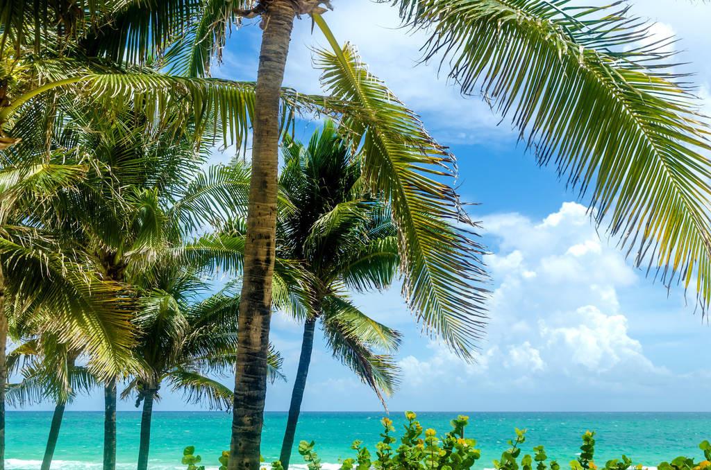 科技重塑旅行體驗，最新付費機場概覽