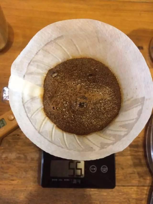 最新萃取法詳解，步驟指南與操作技巧