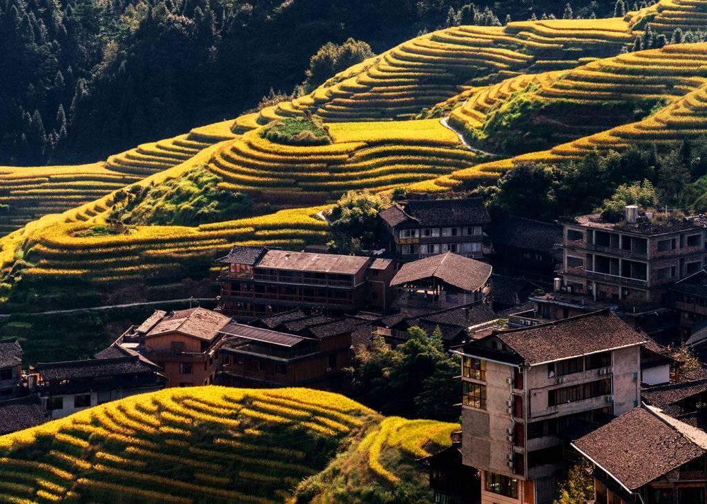 金秋天最新時尚潮流，獨(dú)特風(fēng)情展現(xiàn)魅力風(fēng)采