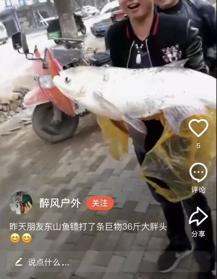 射魚神器進化升級，學習變革與自信成就之源