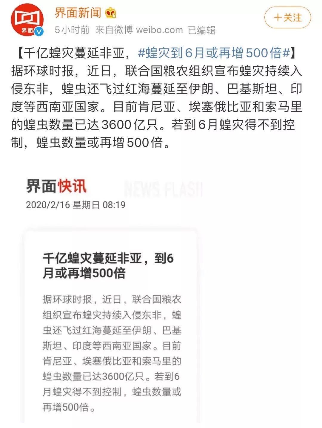 世界蝗災(zāi)最新動(dòng)態(tài)，探索自然美景的輕松之旅