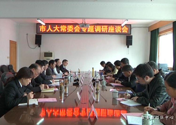 安徽歙縣最新動態(tài)，小巷深處的驚喜