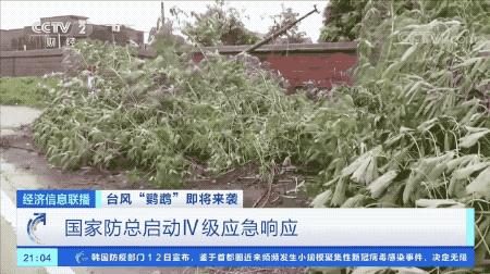 超強臺風(fēng)鸚鵡來襲，最新路徑動態(tài)全解析???