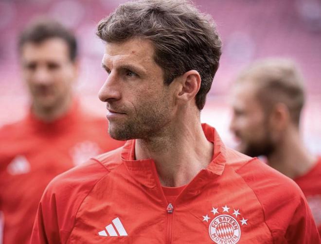 慕尼黑最新動(dòng)態(tài)，城市生活的溫馨日常