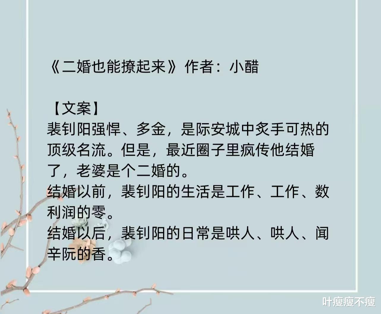 最新二婚小說，小巷深處的浪漫故事